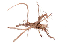 Load image into Gallery viewer, [ID:4XDZ3I]
