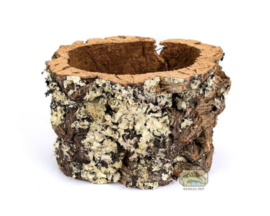 NewCal Cork Flower Pot & Reptile Nesting Box