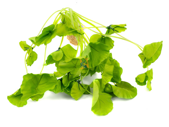 AquaGlobe Lotus Underwater Plant