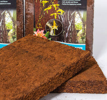 Load image into Gallery viewer, Fernwood Orchid Board, Twin Pack

