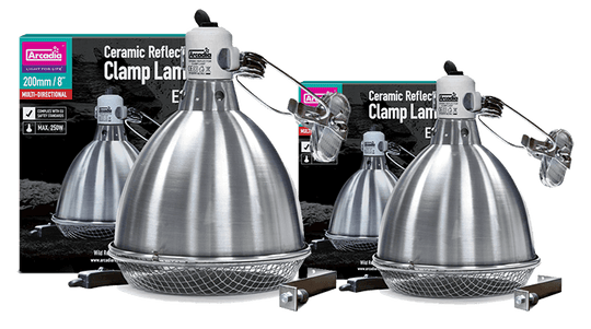 Arcadia Ceramic Clamp Lamp