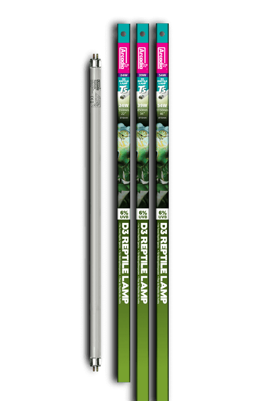 Arcadia T8 Forest D3+ 6% UVB Bulb