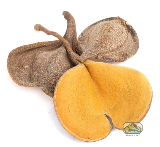 NewCal Elephant's Ear, 1oz.