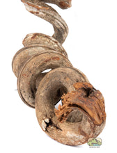 Load image into Gallery viewer, NewCal Liana Vine (Rosca), Thick
