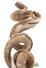 Load image into Gallery viewer, NewCal Liana Vine (Rosca), Thick
