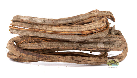 NewCal Corkscrew Liana (Rosca) Vine, Thick