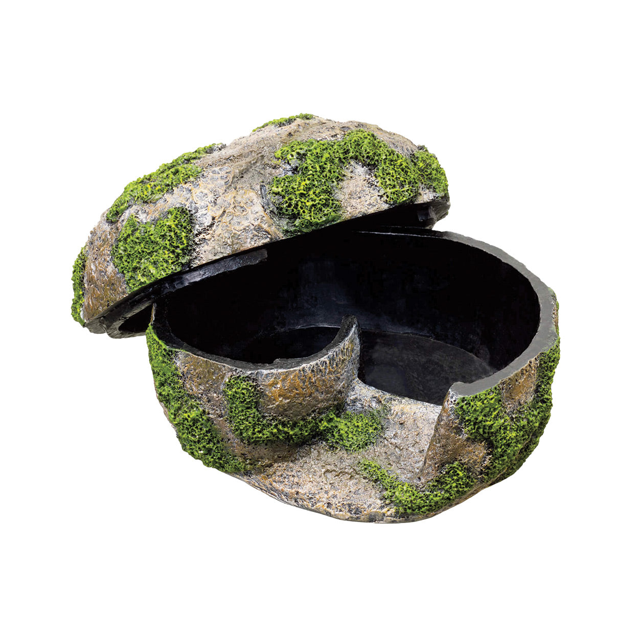 terrasky planted terrarium light Exo Terra TerraSky