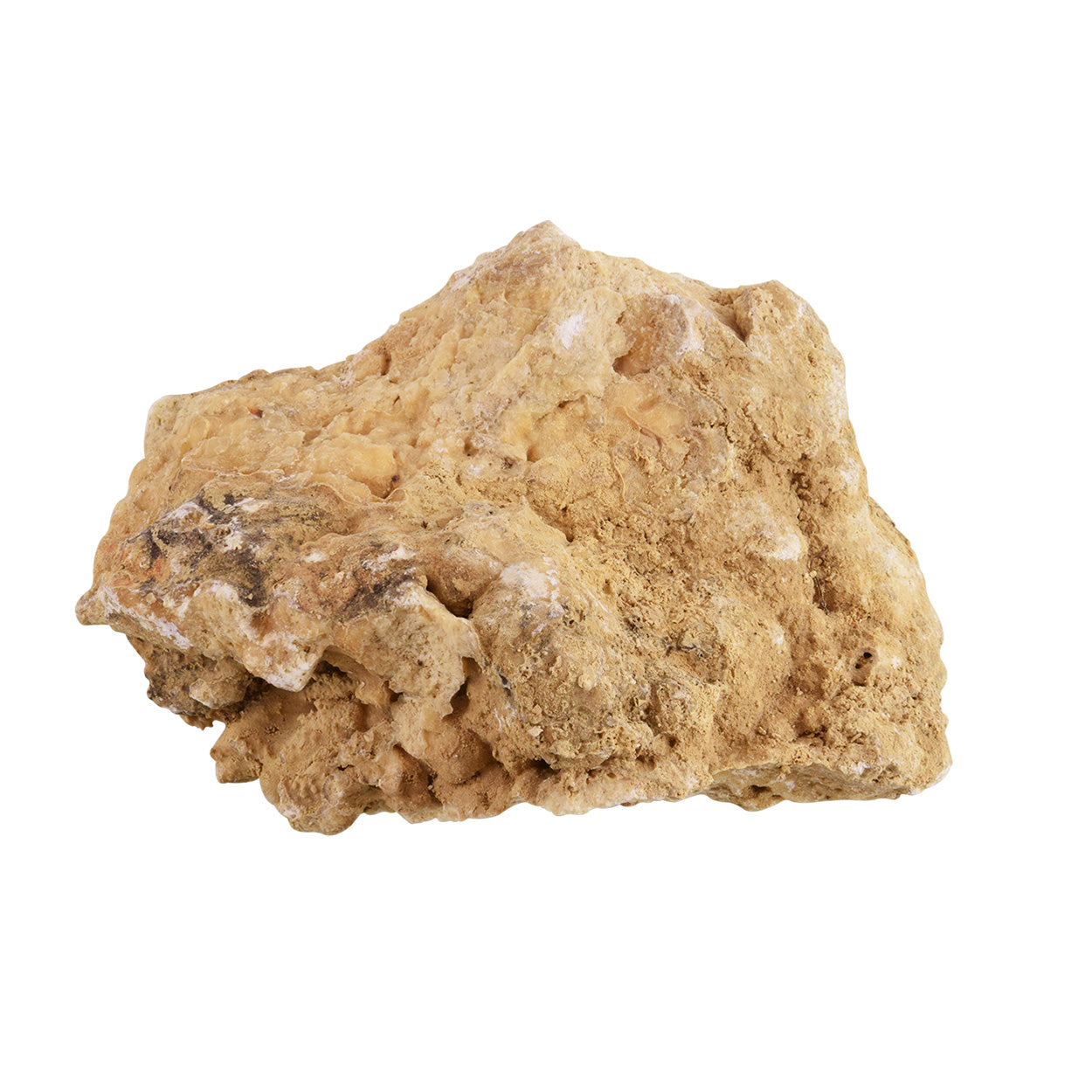 Fine Feather Rocks Featherstone Rock – Northern Gecko Inc