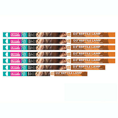 Arcadia T8 Desert D3+ 12% UVB Bulb