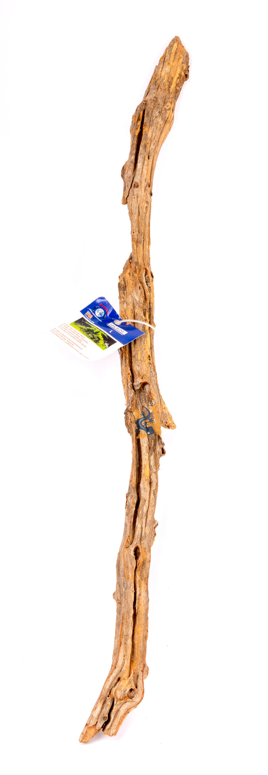 AquaGlobe Neka Vine, XXL 28 - 38"