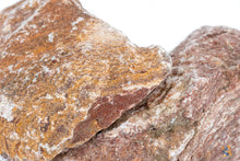 Load image into Gallery viewer, [ID:OE5HCF]
