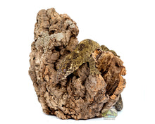 Load image into Gallery viewer, [ID:667UBB]
