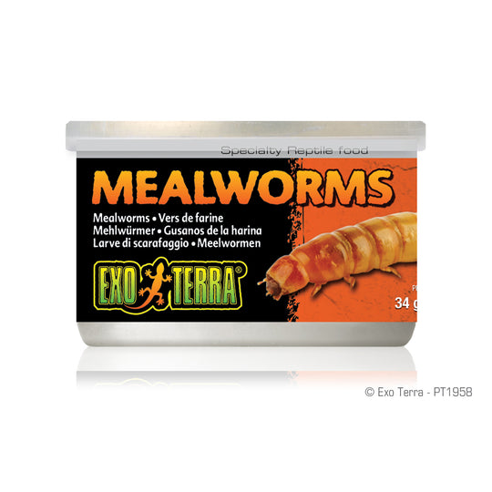 Exo Terra Canned Mealworms - 34 g (1.2 oz)