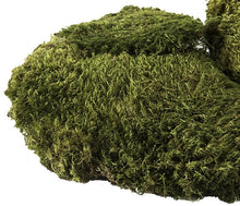 Load image into Gallery viewer, Galapagos Pillow Moss
