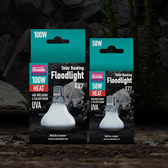 Arcadia Solar Basking Floodlight