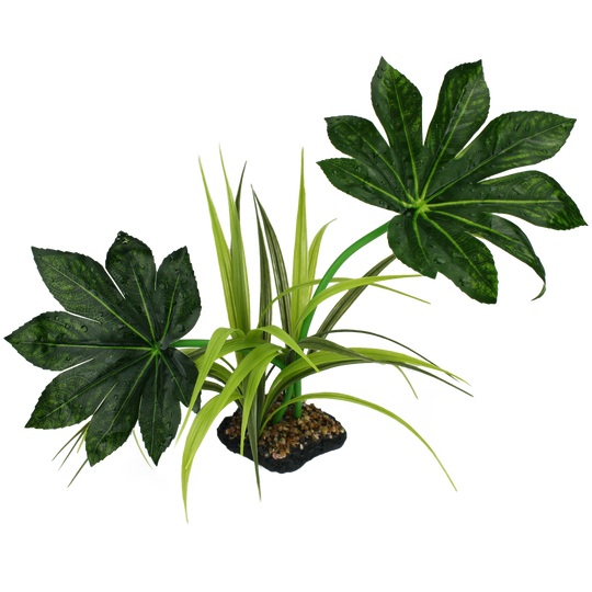 Komodo Jungle Canopy 42cm