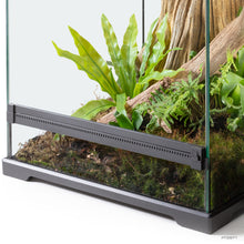 Load image into Gallery viewer, Exo Terra Birds&#39; Nest Fern Plant
