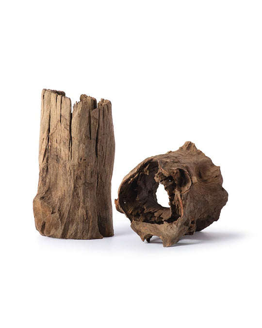 Galapagos Hollow Log Hide 6-8"