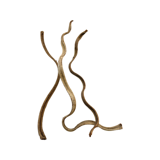 AquaGlobe Twisty Vine