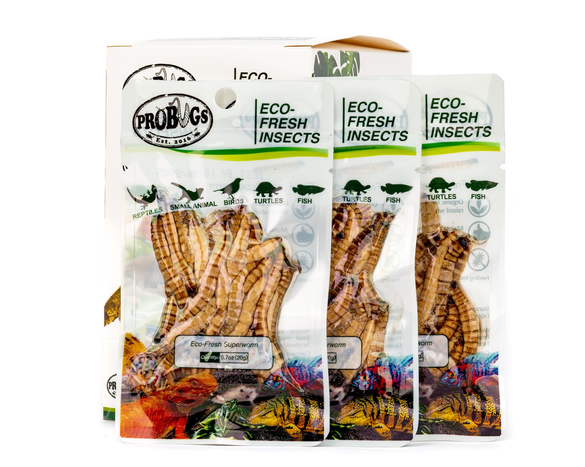 ProBugs Eco-Fresh Superworms – Northern Gecko Inc