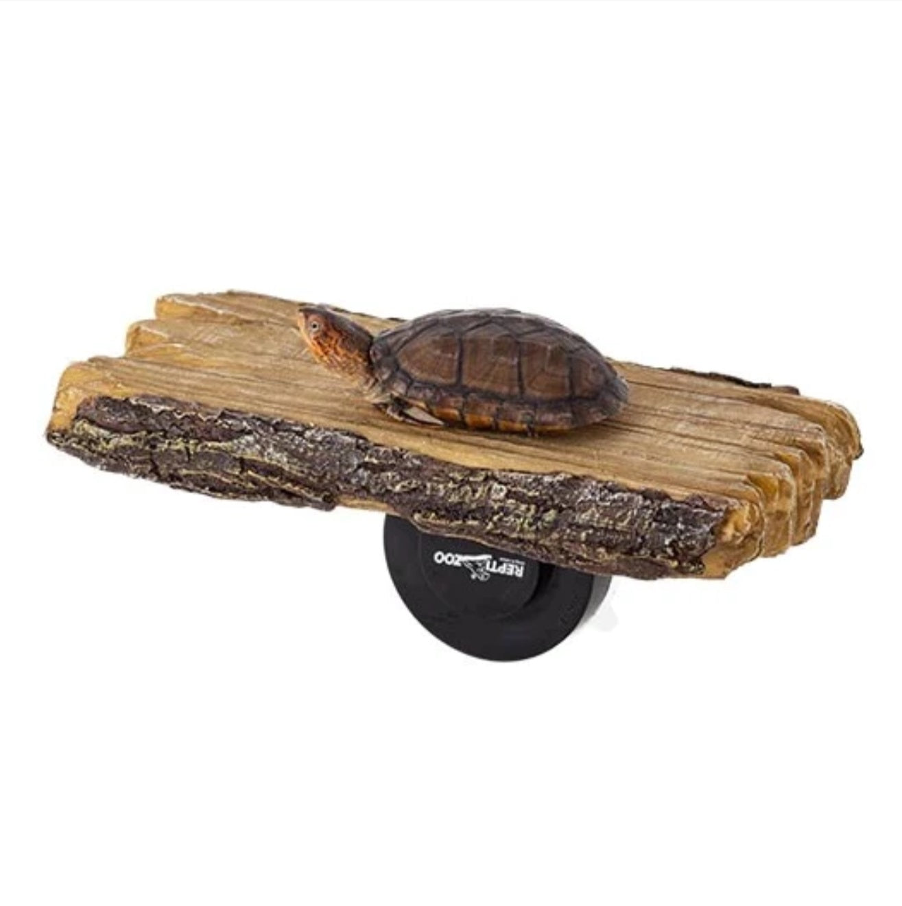 Reptizoo 2-in-1 Turtle Ramp and Arboreal Feeder – Northern Gecko Inc