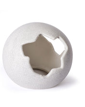 Load image into Gallery viewer, [ID:ZEQW1H]
