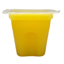 Load image into Gallery viewer, Komodo Jelly Pots Fruit (20-Count)
