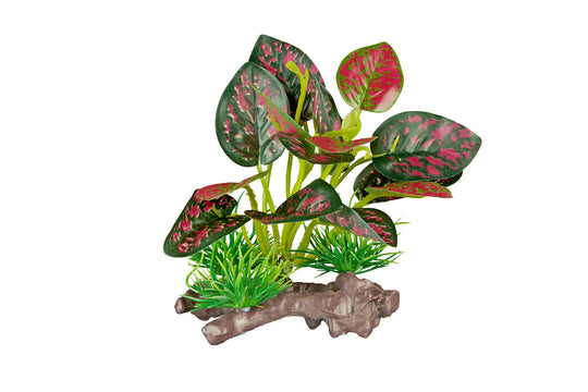 ReptiZoo Scindapsus aureus Plant 4.8"