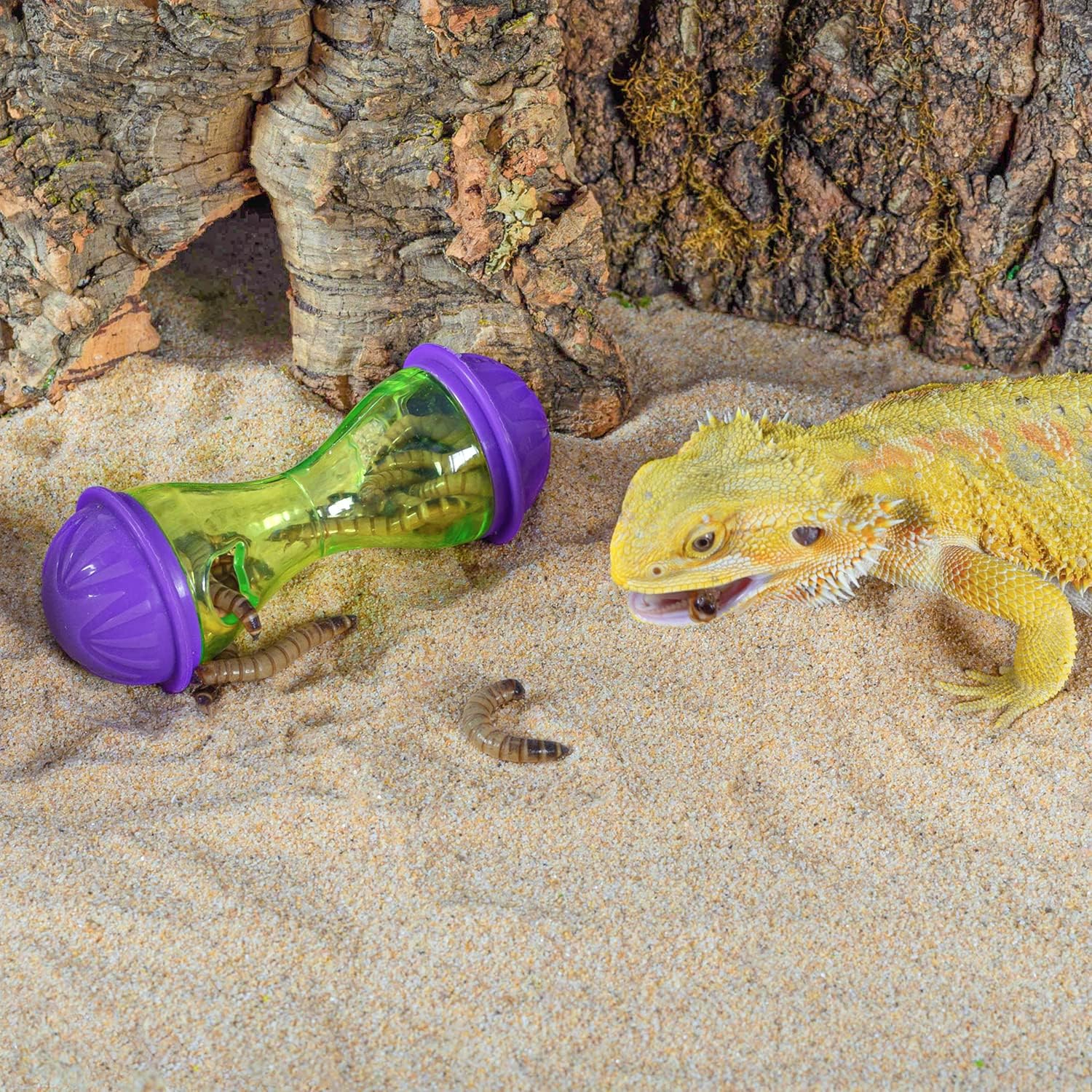 Toys For Bearded Dragons To Play With Snake Toy Ball - Interactive ...