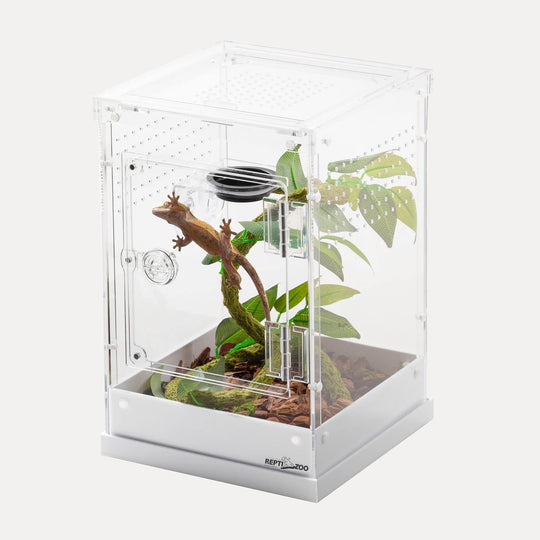 ReptiZoo Acrylic Knock-Down Terrarium