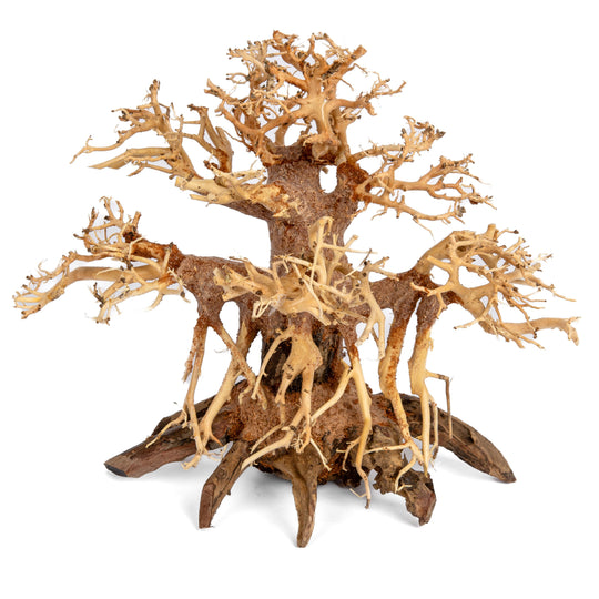 Aquaglobe Octopuswood