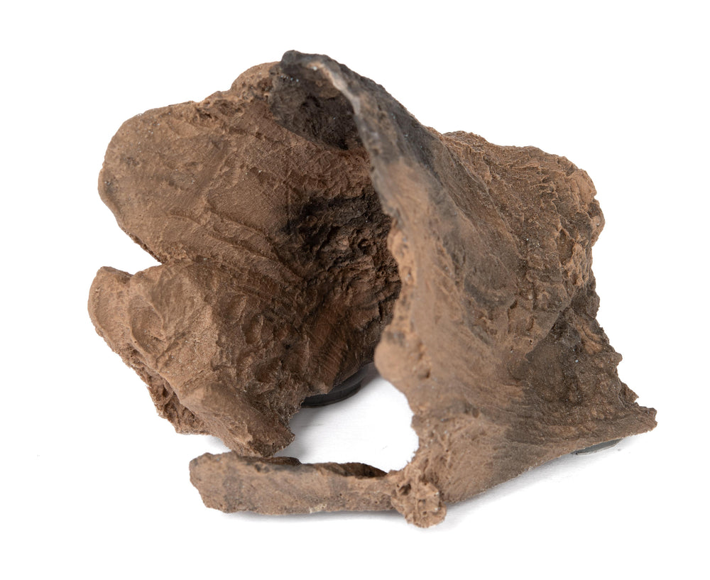 C3 Magnetic Adult Gecko Hide