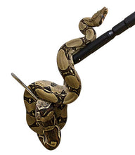 Load image into Gallery viewer, ReptiZoo 2-in 1 Snake Hook &amp; Climbing Stick
