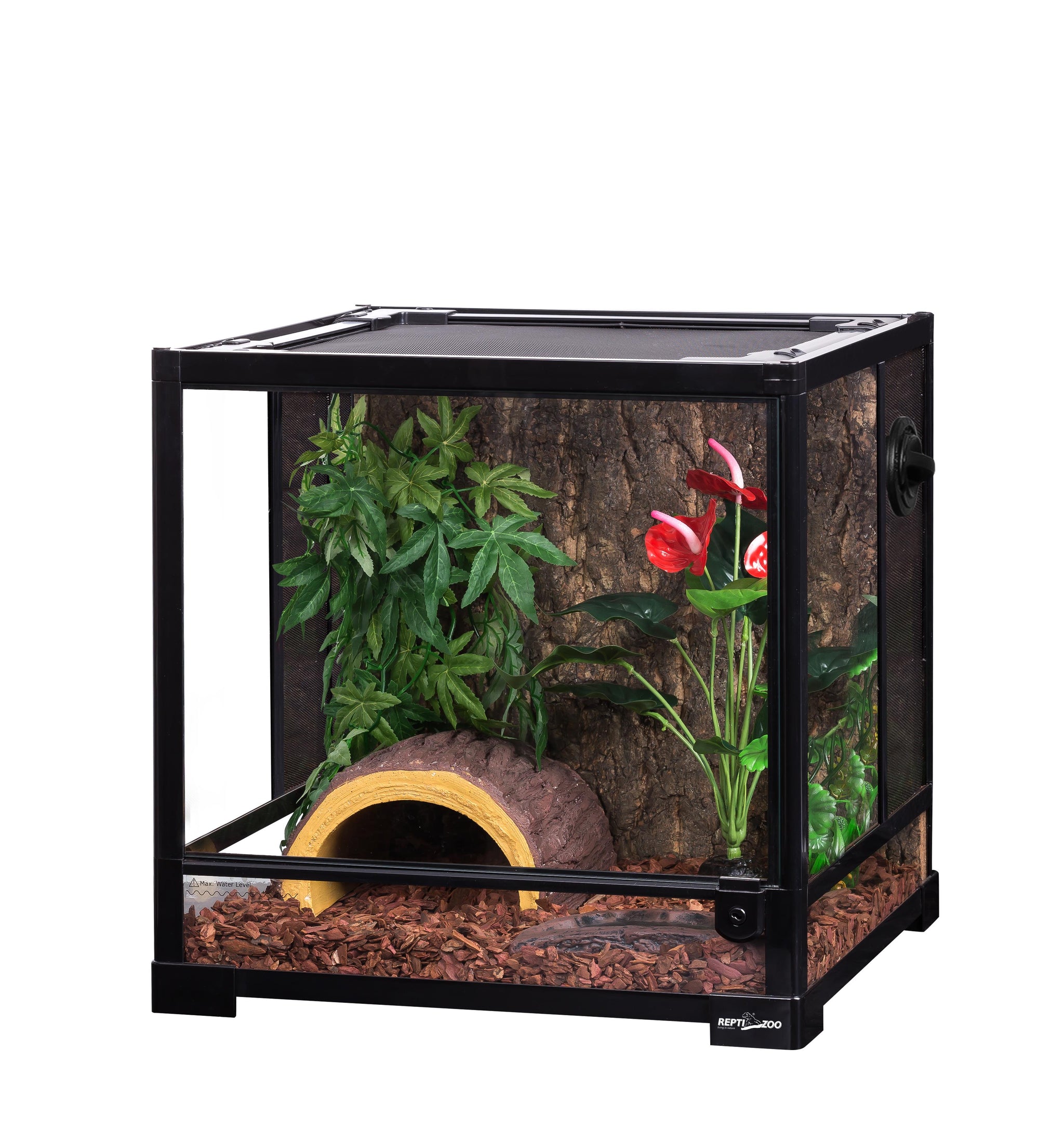 Insecten terrarium voor de kweek van spinnen of wandelende takken Insecten terrarium voor de kweek van spinnen of wandelende takken