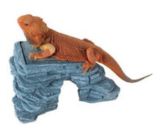 Load image into Gallery viewer, [ID:IN8XFN]
