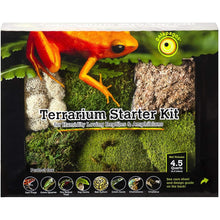 Load image into Gallery viewer, Galapagos Terrarium Decor Starter Kits
