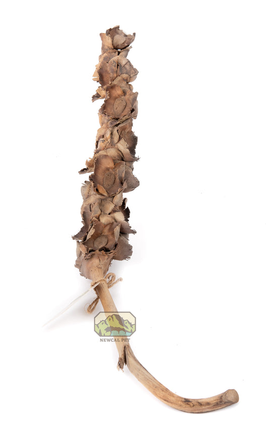 NewCal Palm Blossom Branch, 15"