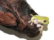 Load image into Gallery viewer, [ID:TIQXVL]
