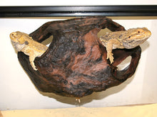 Load image into Gallery viewer, [ID:6RCXVT]
