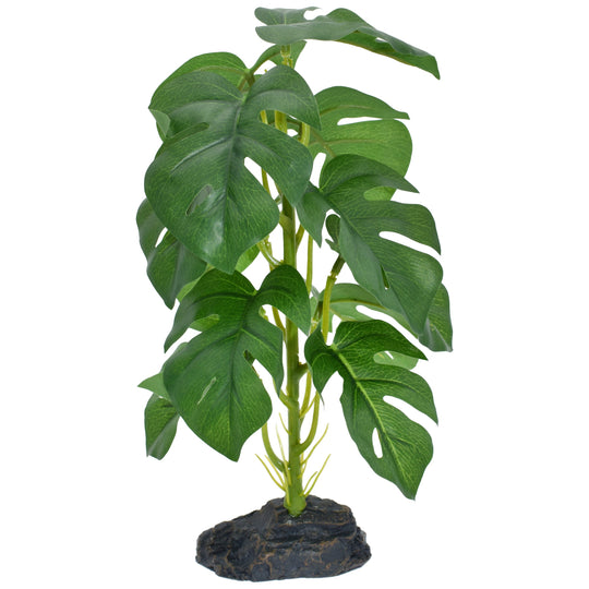Komodo Standing Monstera Plant - Small 10"