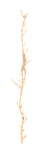 Load image into Gallery viewer, NewCal Nerve Wood, 14&quot; - 18&quot;
