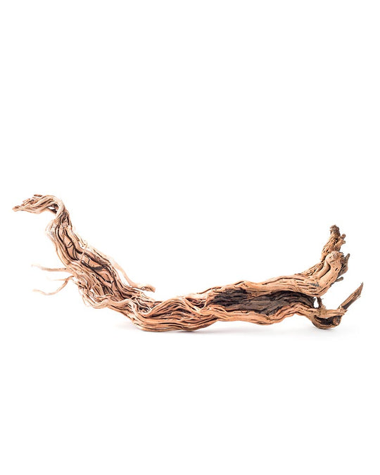 Galapagos Dragon Wood Branch