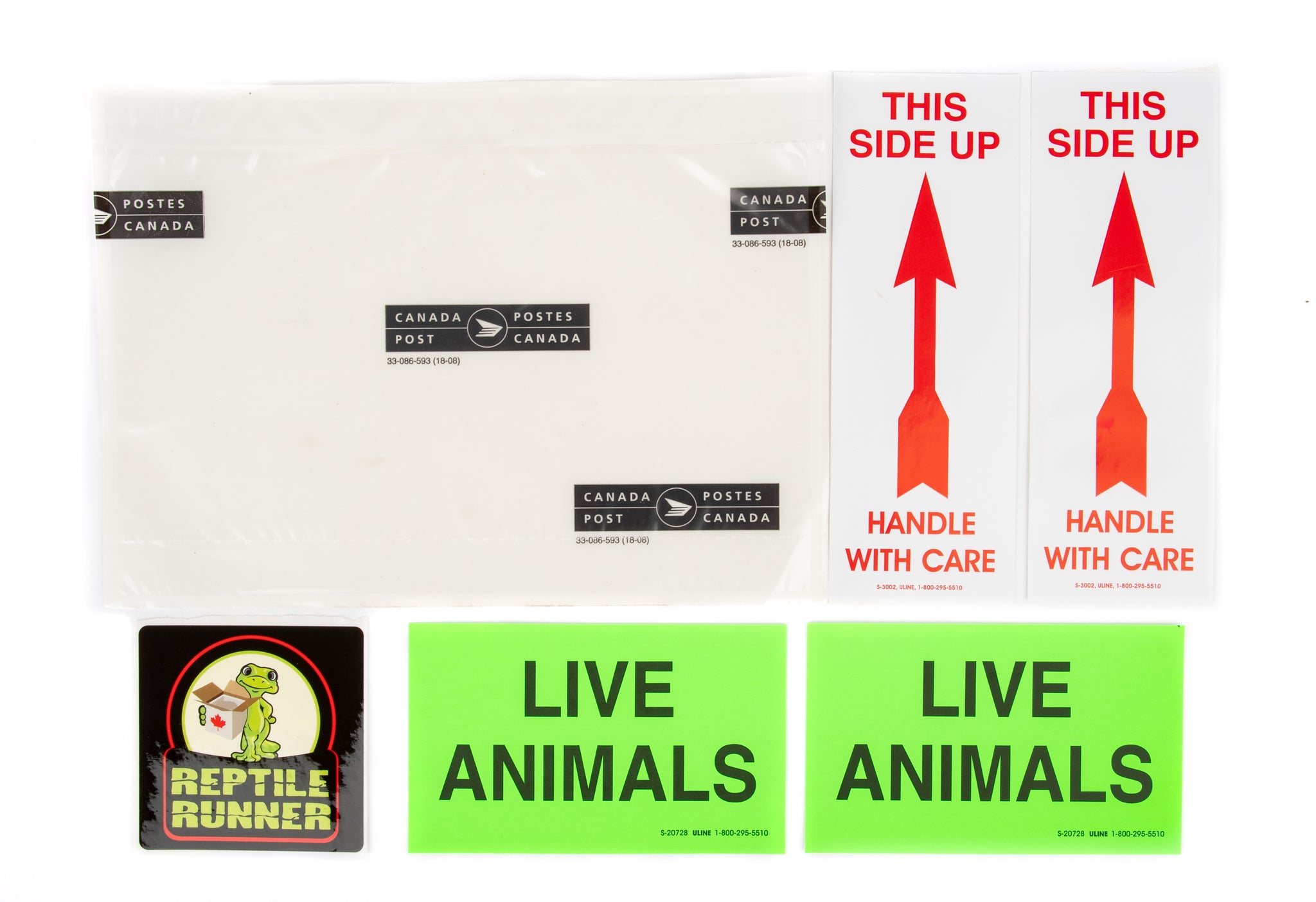 Shipping Box Kit 12'' x 9'' x 6'' – Northern Gecko Inc