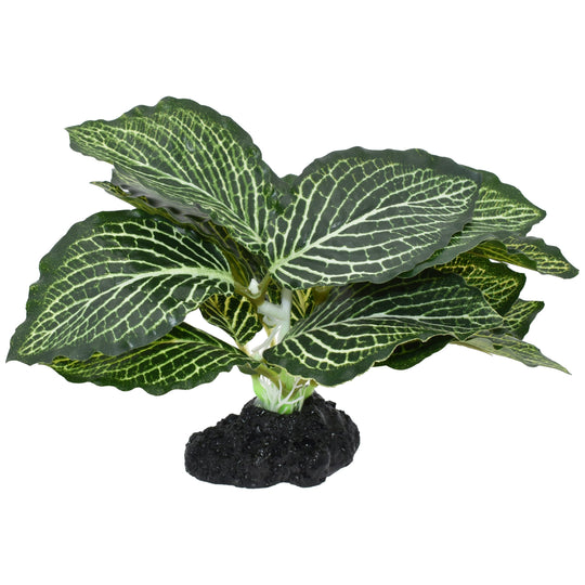 Komodo Standing Vein Plant – Small 4"