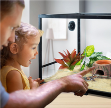 Load image into Gallery viewer, ReptiZoo 3-in-1 Humidifying Tree Stump Hideout with Ceramic Water Bowl
