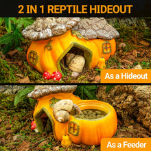 Load image into Gallery viewer, ReptiZoo Multifunctional Pumpkin Hide Castle
