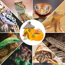 Load image into Gallery viewer, ReptiZoo Multifunctional Pumpkin Hide Castle
