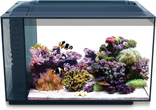 Fluval Sea EVO Aquarium Kit 13.5 gal