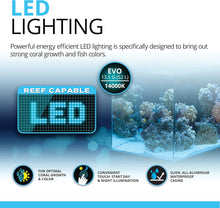 Load image into Gallery viewer, [ID:LISZO9]
