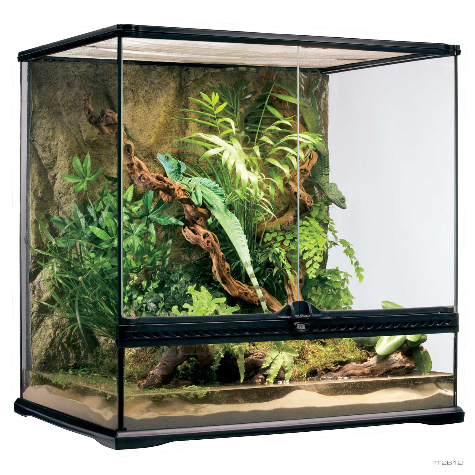 Exo Terra Glass Terrarium – Northern Gecko Inc